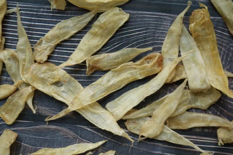 250头豆仁胶公鱼胶花胶长条公肚头数标准
