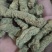 巴戟天抽芯巴戟肉，大选中选，常年经营，经营大货，量大从优