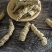 巴戟天抽芯巴戟肉，大选中选，常年经营，经营大货，量大从优