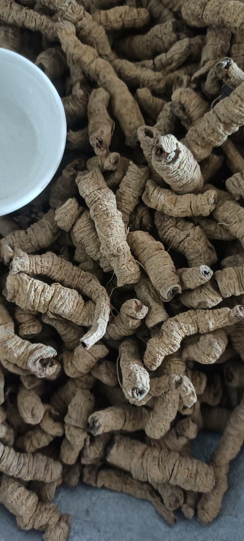 巴戟天抽芯巴戟肉，大选中选，常年经营，经营大货，量大从优