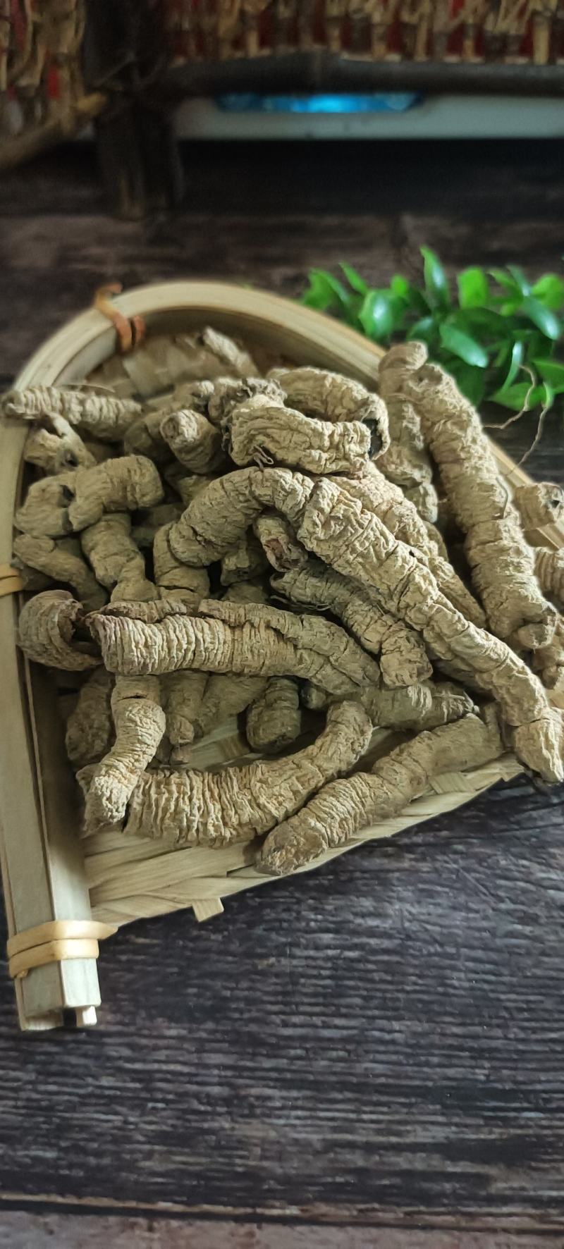 巴戟天抽芯巴戟肉，大选中选，常年经营，经营大货，量大从优