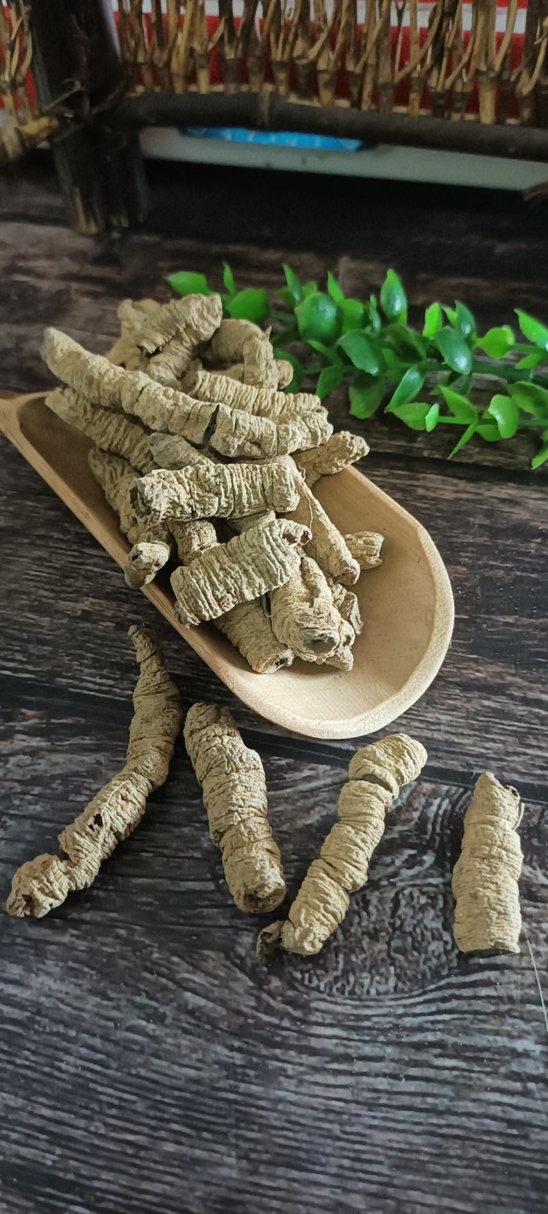 巴戟天抽芯巴戟肉，大选中选，常年经营，经营大货，量大从优