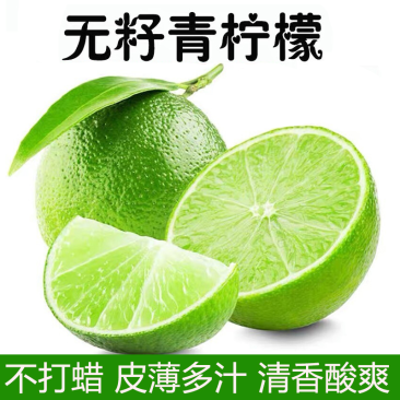 薄皮无籽青柠檬批发云南无子柠檬400亩基地塔西提泰式