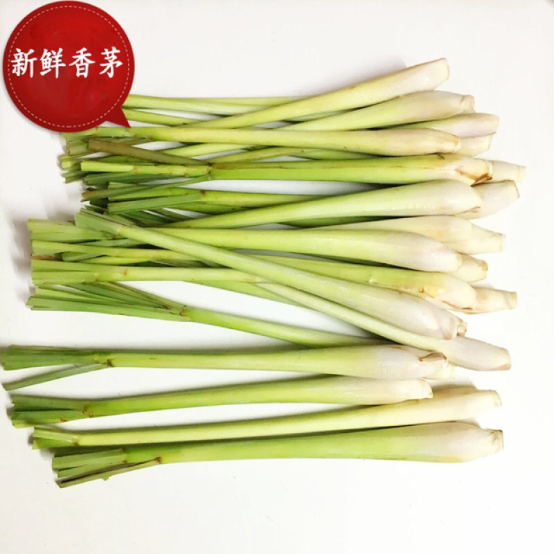 新鲜香茅草食用调料泡茶冬阴功食材香料柠檬草