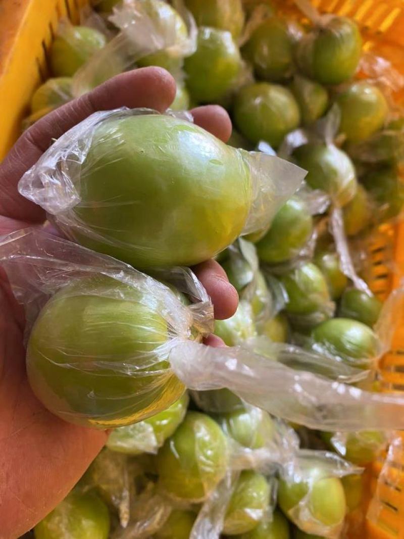 广西平南蜜丝青枣大量上市，皮薄肉厚，脆甜多汁