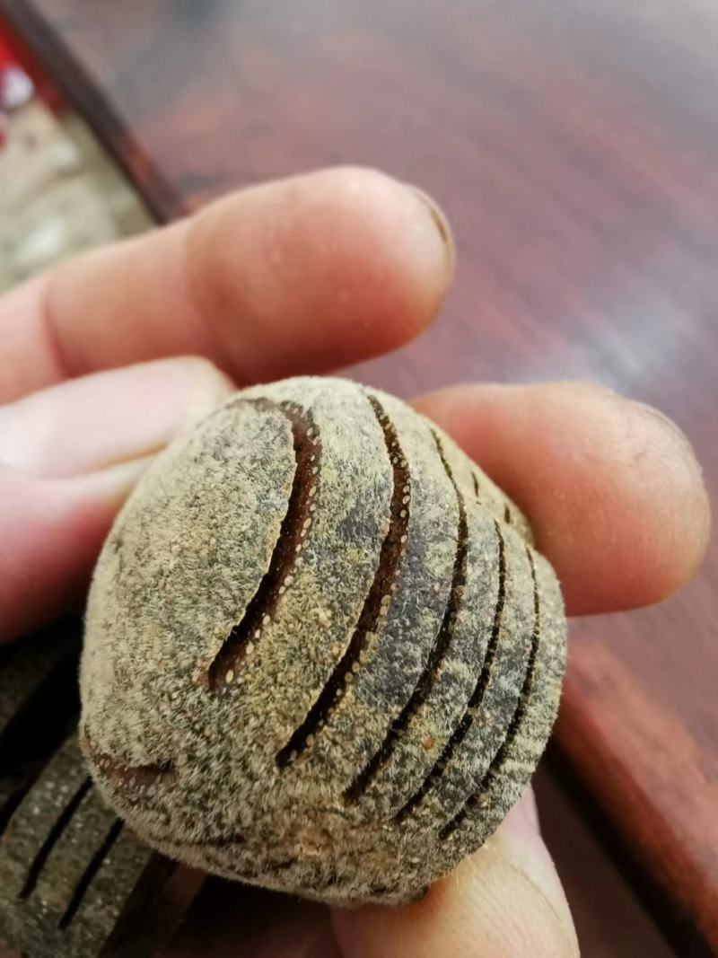 正宗茂名化州橘红礞石山化橘红产地货源干度够正宗正毛果