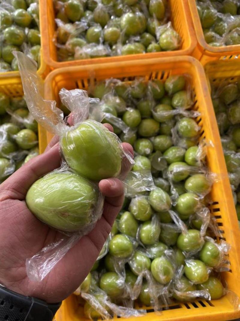 广西平南蜜丝青枣大量上市供应，欢迎各大市场商超，电商团购