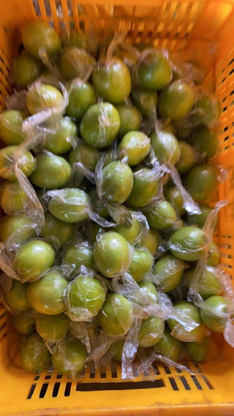 广西平南蜜丝青枣大量上市供应，欢迎各大市场商超，电商团购