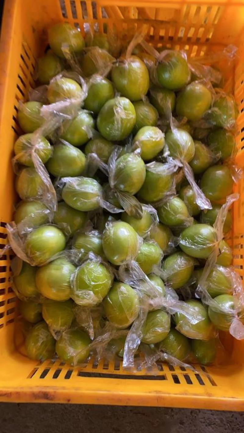 广西平南蜜丝青枣大量上市供应，欢迎各大市场商超，电商团购