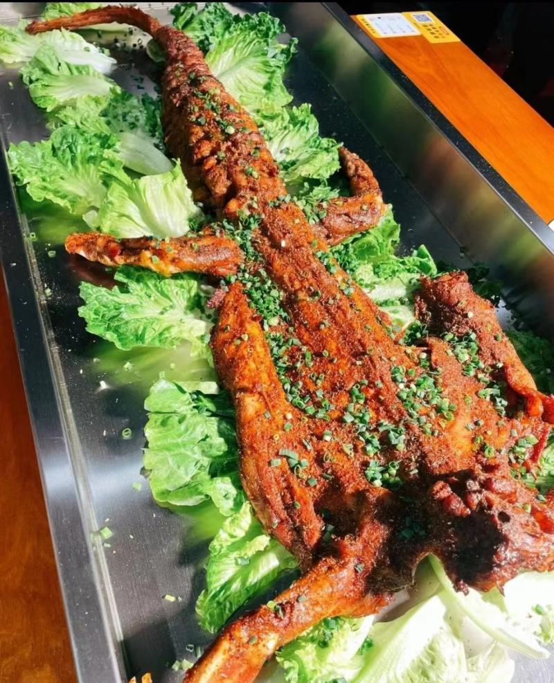 大量批发零售15到20斤的商品，鳄鱼，鳄鱼肉，鳄鱼背鳄鱼