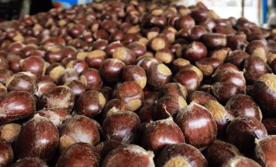 秋日街头热气腾腾的糖炒栗子摊位,顾客正在挑选新鲜出炉的栗子 秋天街头糖炒栗子小摊