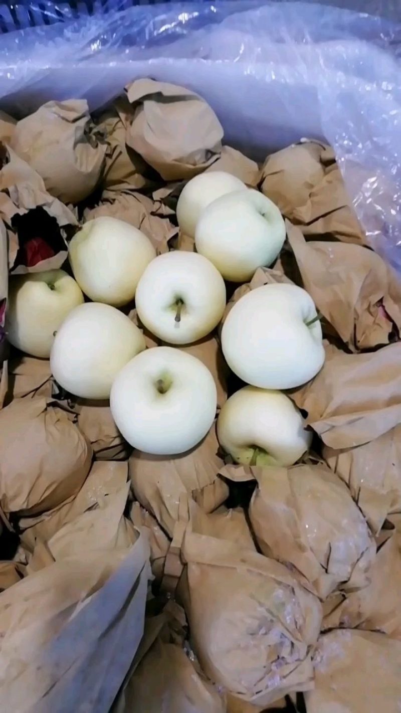 黄元帅大量上市了