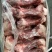 多肉后腿骨棒带骨髓新到货20斤一件