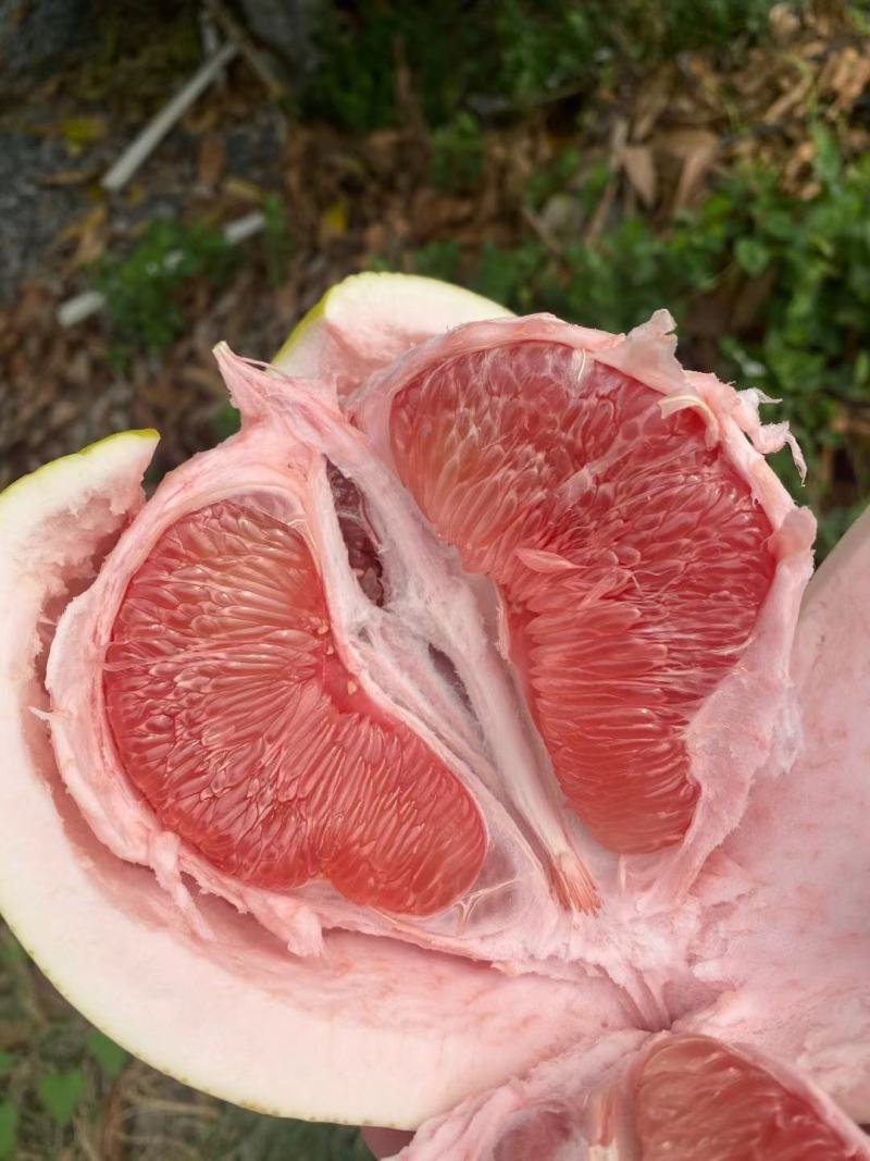 福建正宗平和琯溪蜜柚