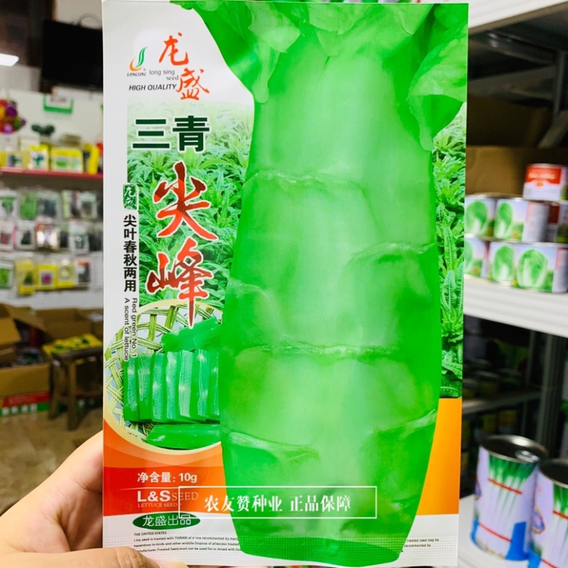 龙盛三青尖峰莴笋种子耐寒尖叶莴笋种子青皮青肉香莴苣