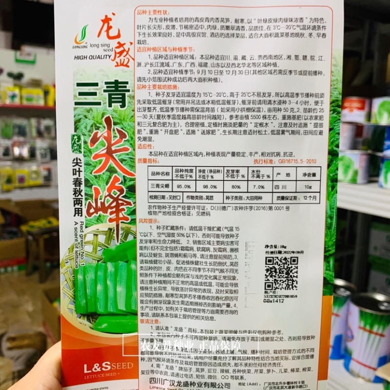 龙盛三青尖峰莴笋种子耐寒尖叶莴笋种子青皮青肉香莴苣