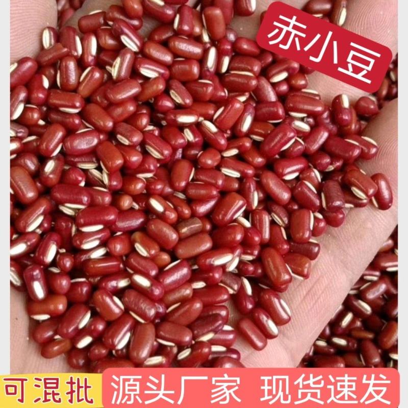 【赤小豆】规格齐全烘焙食品加工现货供应电联优惠