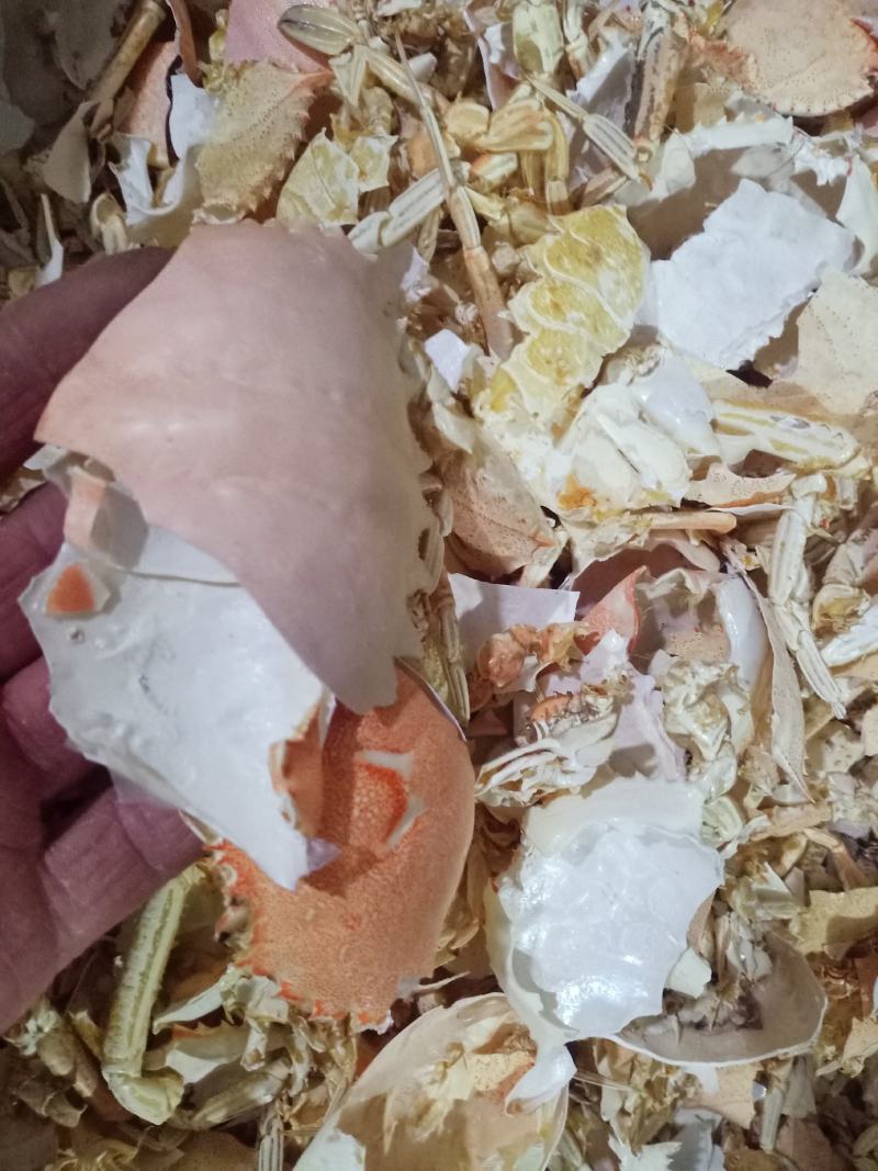 方海，法罗海壳螃蟹甲螃蟹壳中药材质量保证诚信经营！