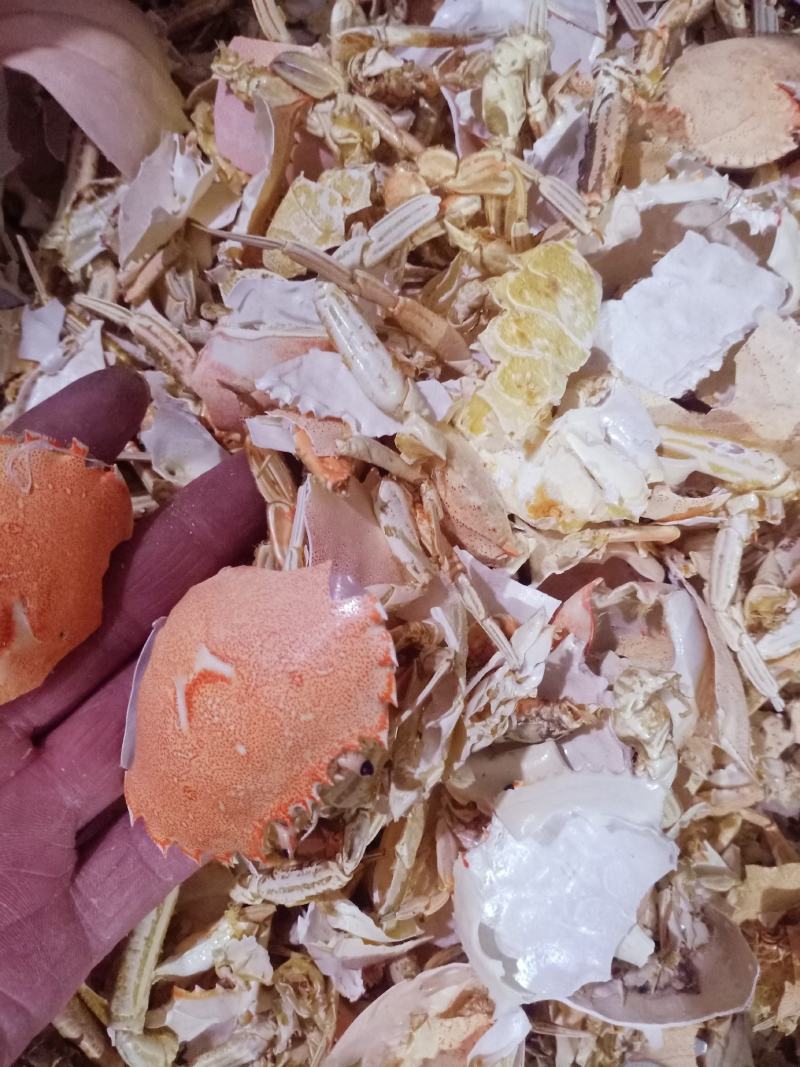 方海，法罗海壳螃蟹甲螃蟹壳中药材质量保证诚信经营！