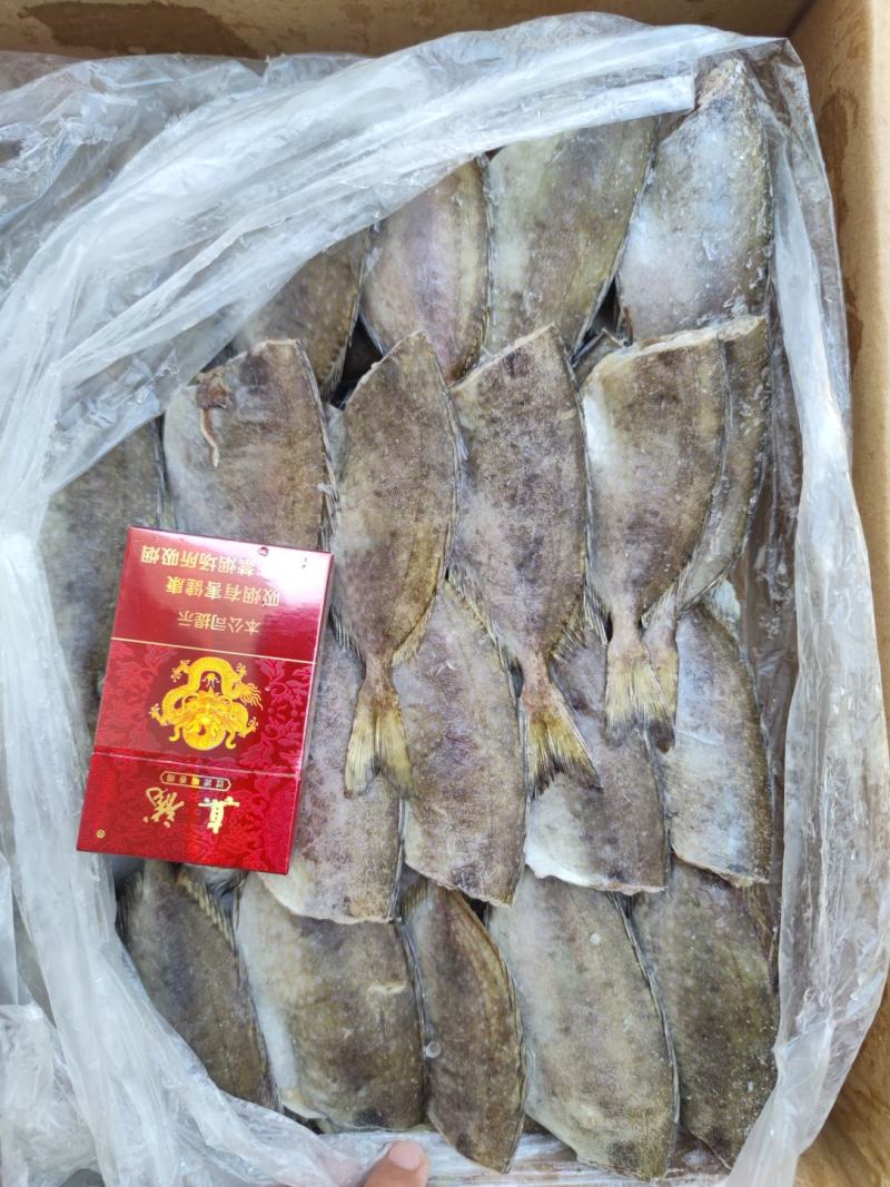 剪头去肚泥猛鱼（柠檬鱼）食堂好货，证件齐全