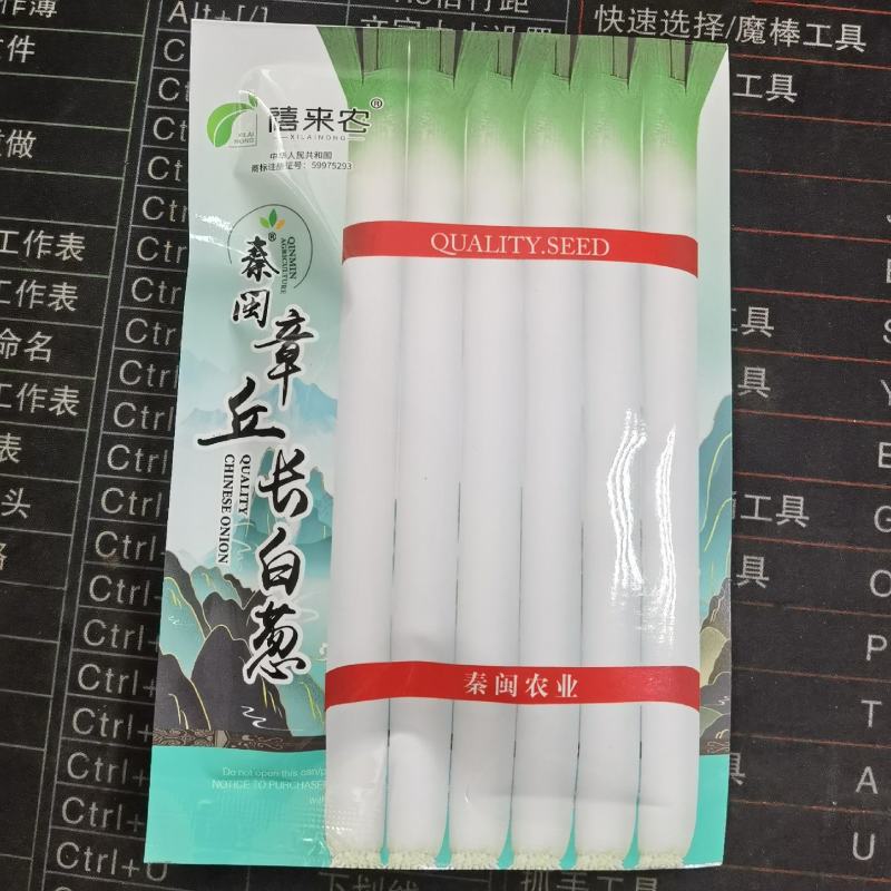 章丘长白条大葱种子香葱籽葱白长菜园阳台盆栽春季秋四季蔬菜