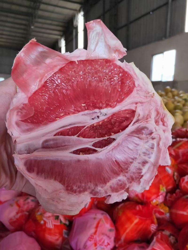 福建平和三红柚新鲜现摘柚子一件代发供货产地蜜柚