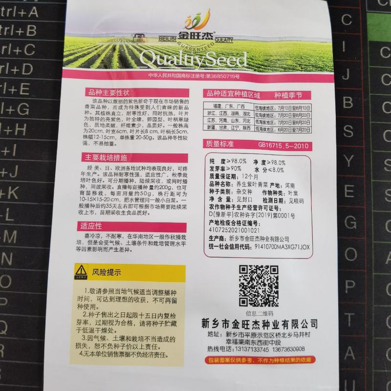 养生紫叶青菜种子四季紫色油菜种子鸡毛菜小青菜蔬菜种籽
