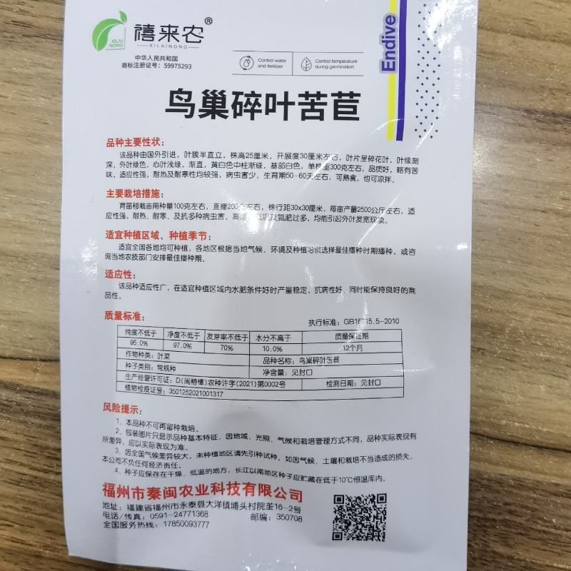 黄心细叶苦菊种子小叶碎叶苦苣种籽花叶四季庭院大田用种