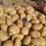 榆林土豆精纯沙漠货品，V7大量上市，品质服务，售后无忧！