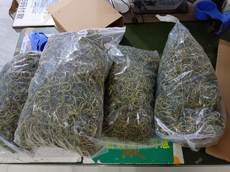 小叶化石草（肾精茶、猫须草）人工精选