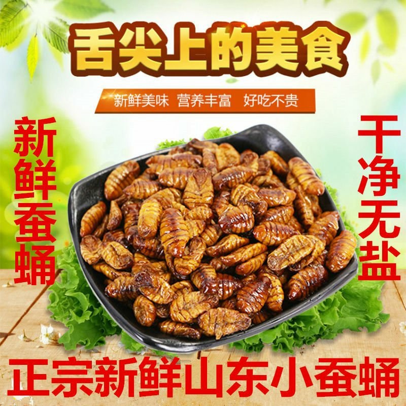 正宗山东新鲜速冻小蚕蛹买二斤送二斤活体蚕蛹特产桑蚕蛹批发
