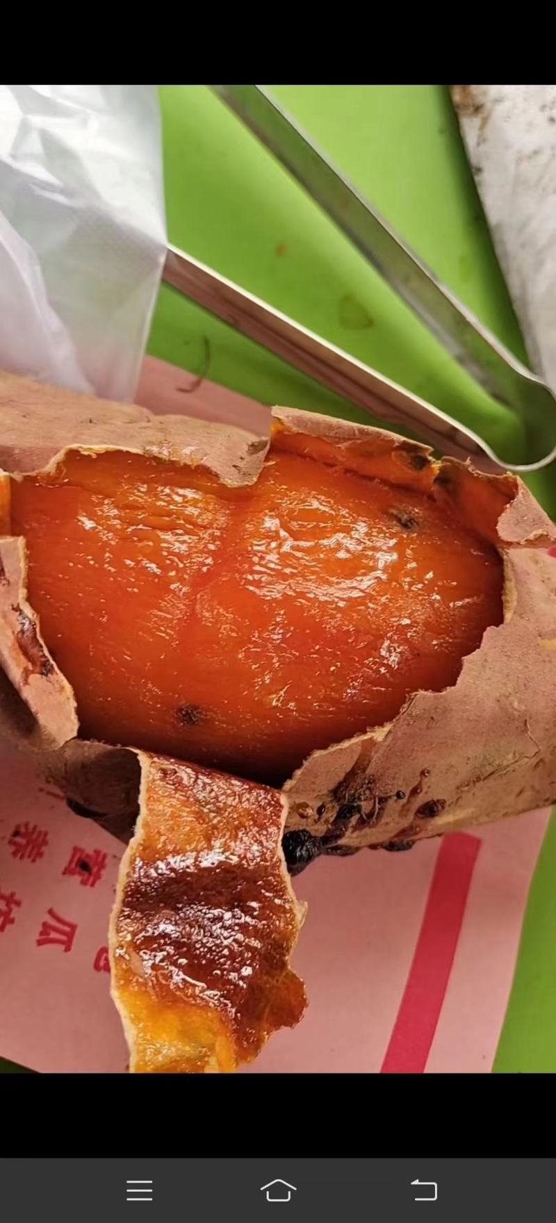 唐山正宗沙地烟蜜薯，产地直发