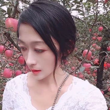 山东【早熟富士苹果】产地一手货源充足电商商超大量供应