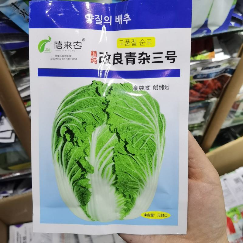改良青杂三号大白菜种子蔬菜种秋播耐寒高产抗病农户秋播