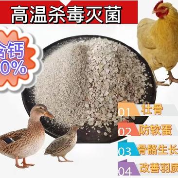 贝壳粉，大颗粒小颗粒鸡鸽及各种鸟禽补钙专用饲料添加剂