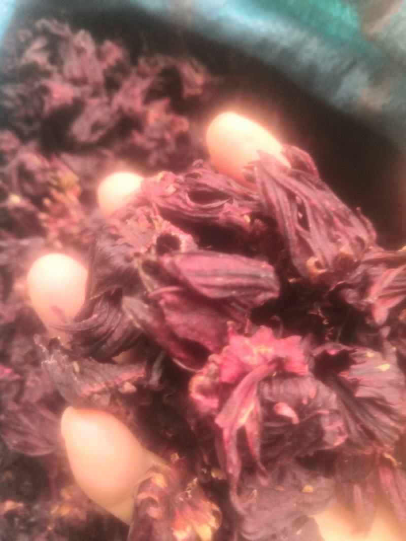 洛神花，玫瑰茄