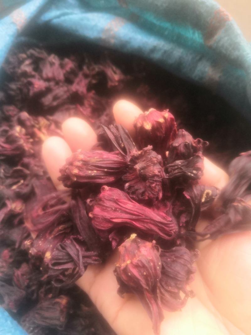 洛神花，玫瑰茄