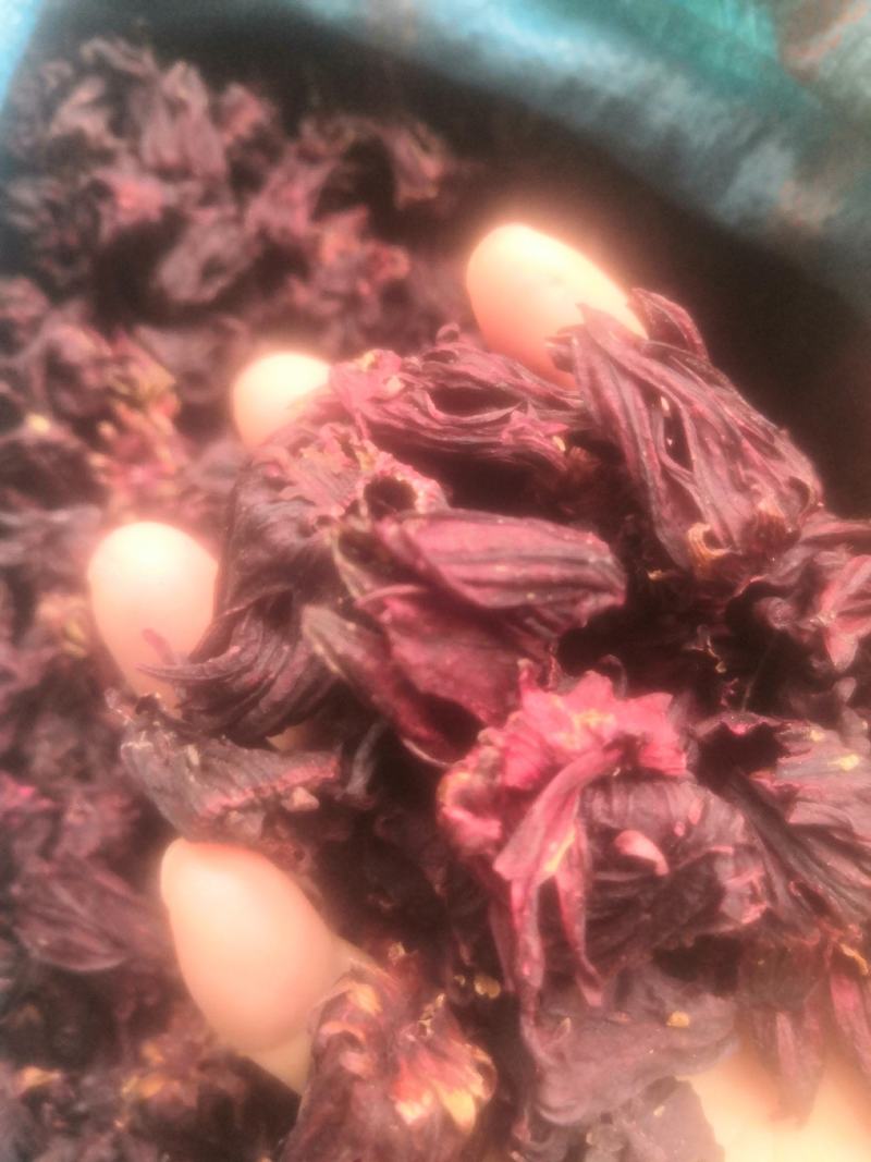 洛神花，玫瑰茄