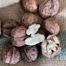 云南大理南涧高山泡核桃