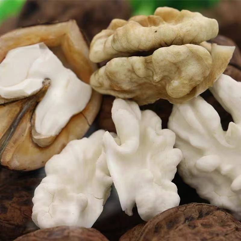 云南大理南涧高山泡核桃