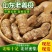 山东两年老姜姜母，现挖现发，质量保证，全国发货