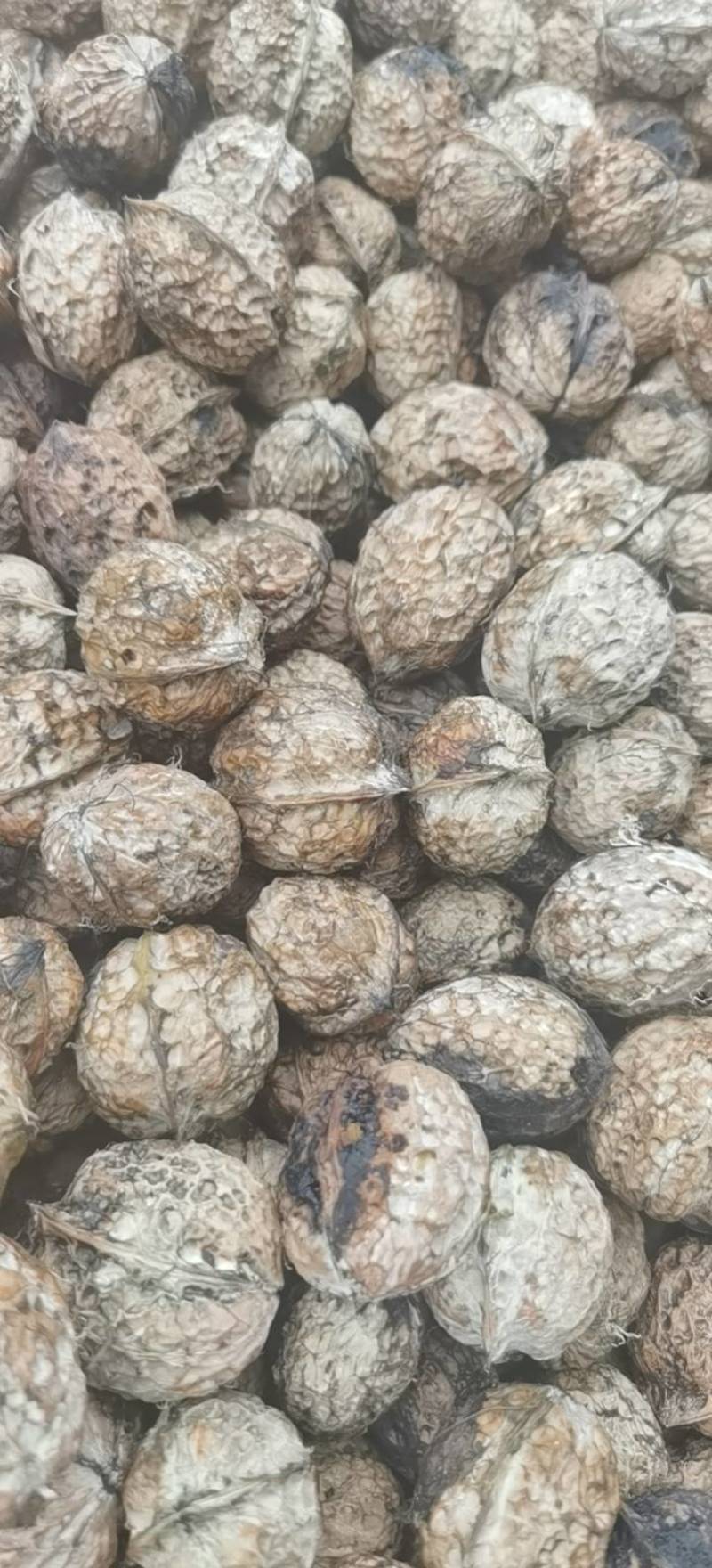 云南大理南涧高山泡核桃产地直供