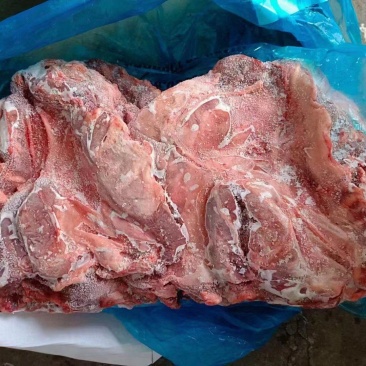 肥猪护心肉大块护心肉
