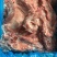 肥猪护心肉大块护心肉
