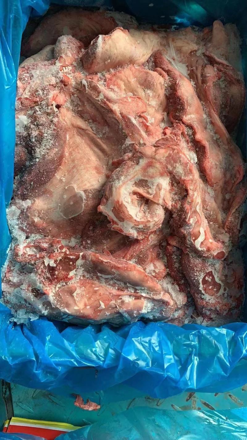 肥猪护心肉大块护心肉