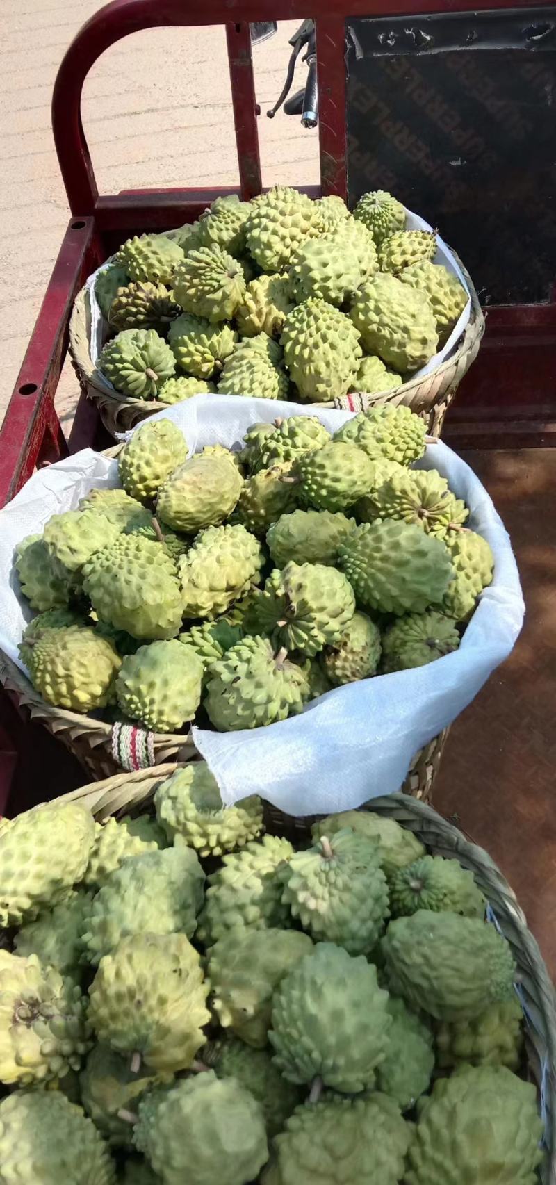 释迦果
