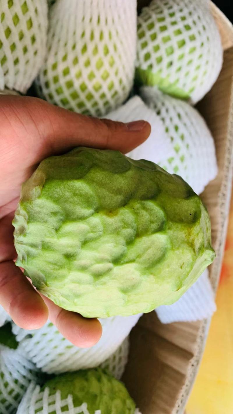 释迦果
