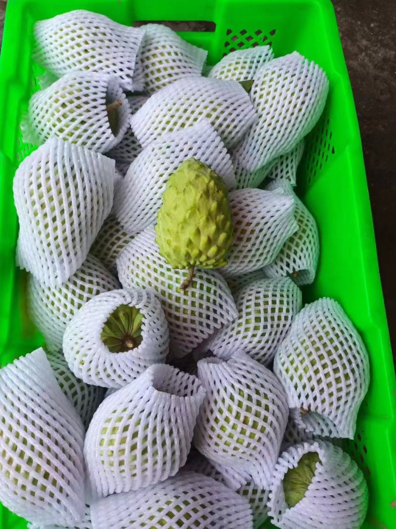 释迦果