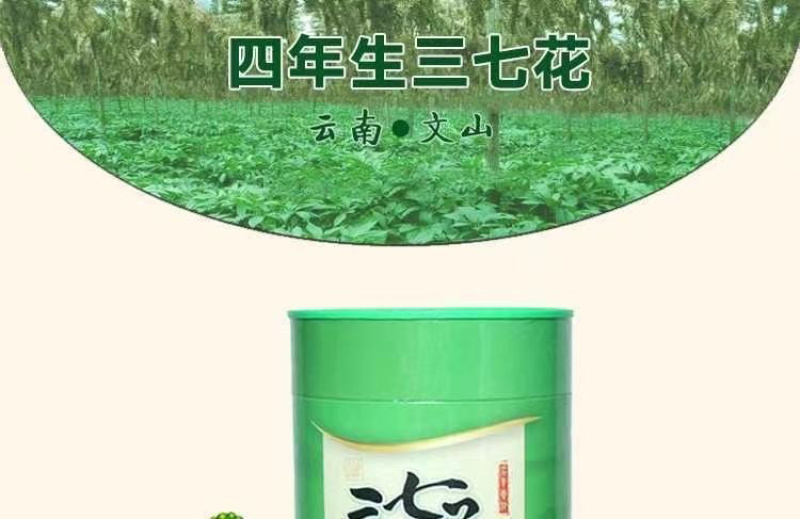 云南文山三七花茶头茬新花田七花茶精选四年生三七花