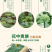 云南文山三七花茶头茬新花田七花茶精选四年生三七花